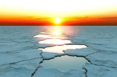 arctic-mission-statement